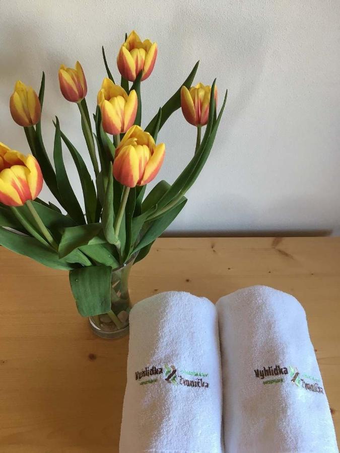 Horsky Apartman Vyhlidka Rejviz Zlate Hory Luaran gambar